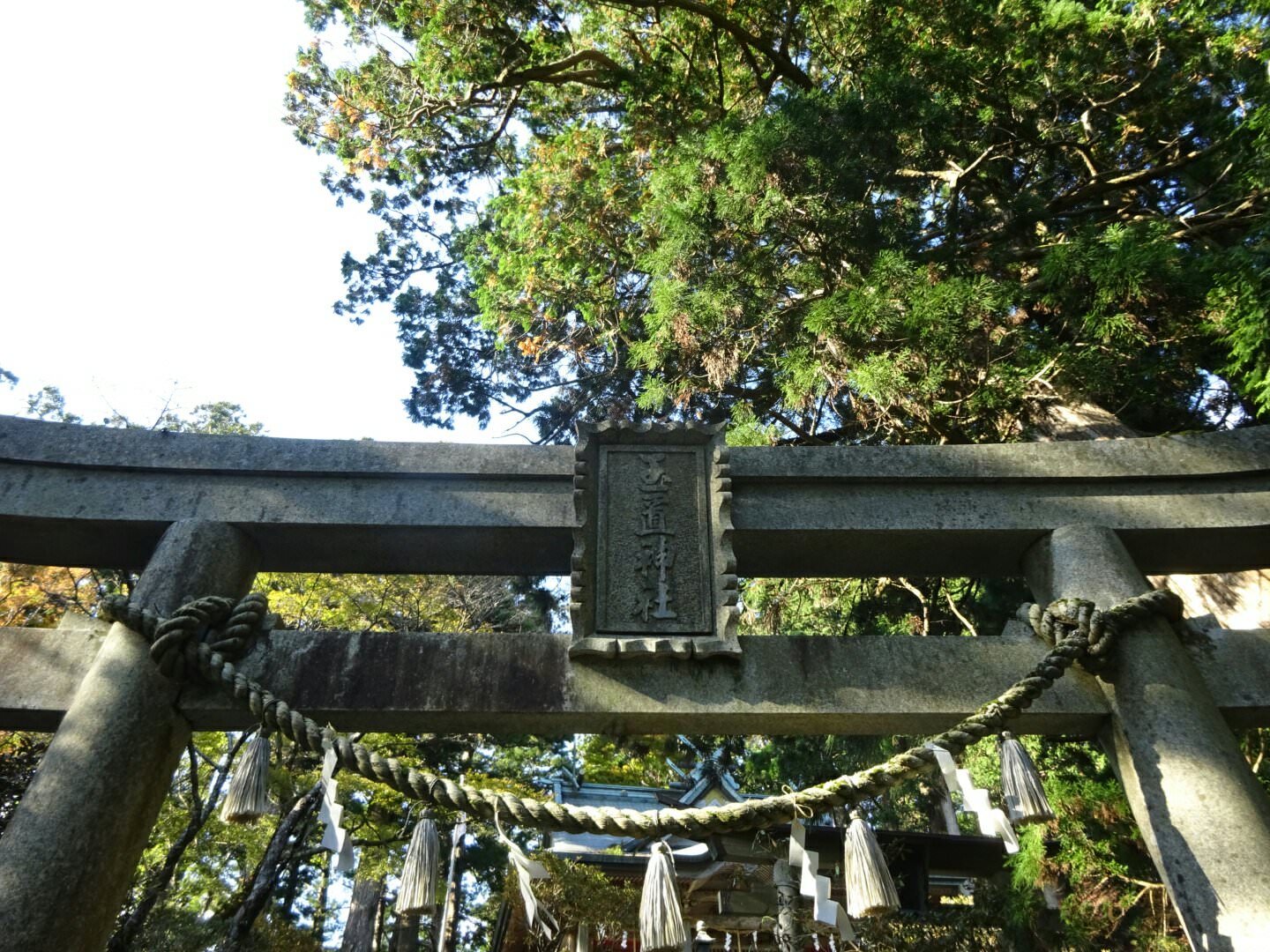 玉置神社本殿